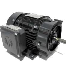 electric motor